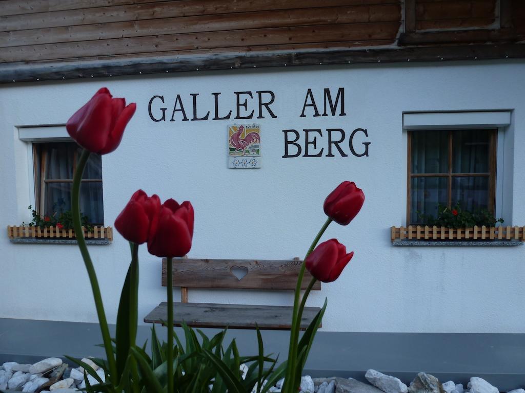 Galler Am Berg * Innichen