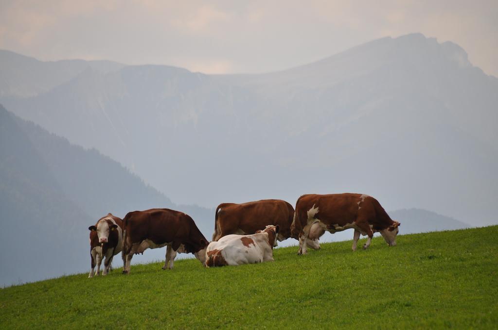 Alojamento de Turismo Rural Galler Am Berg