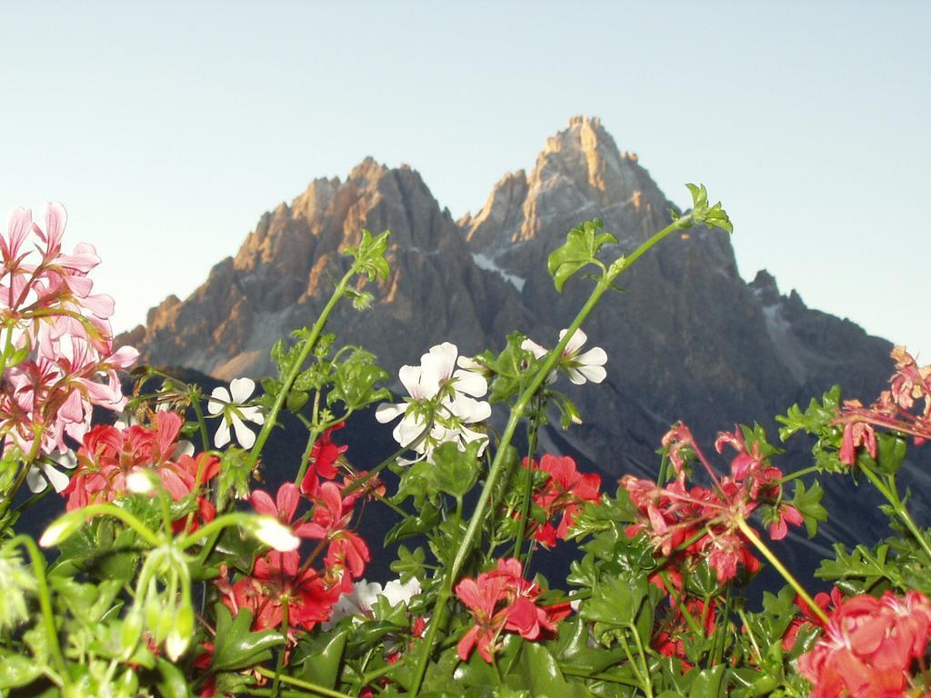 Galler Am Berg Alojamento de Turismo Rural