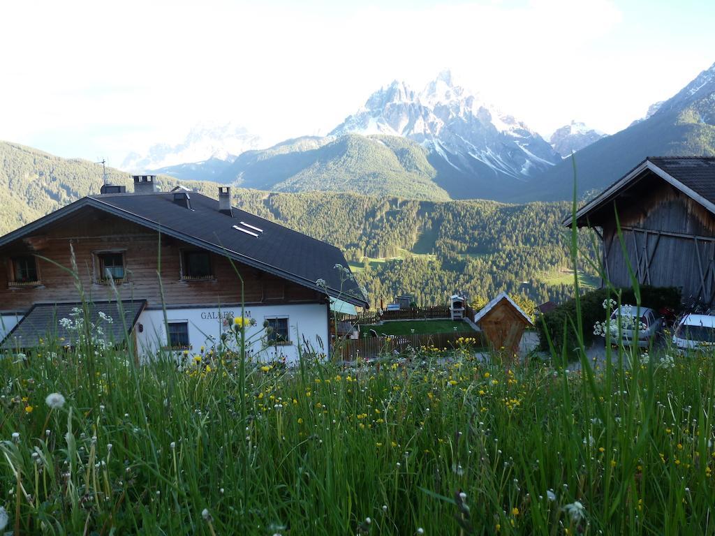 Galler Am Berg *